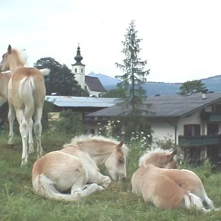 Campingplatz Torrenerhof Golling an der Salzach Exterior foto